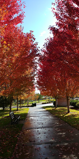 Park «Hillsboro parks and Recreation», reviews and photos, 300 NE 53rd Ave, Hillsboro, OR 97124, USA