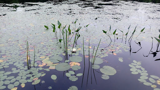 Community Center «Wason Pond Community Center, Chester NH», reviews and photos, 603 Raymond Rd, Chester, NH 03036, USA