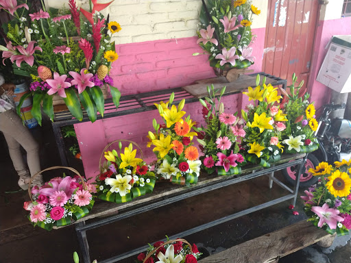 Florería reza – Temixco