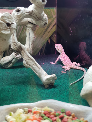 Pet Supply Store «PetSmart», reviews and photos, 19320 Nordhoff Way, Northridge, CA 91324, USA