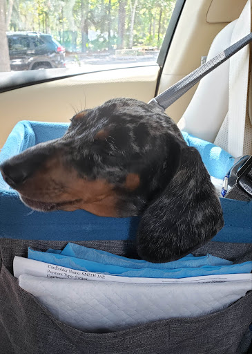 Pet Supply Store «PetSmart», reviews and photos, 30 Malphrus Rd, Bluffton, SC 29910, USA