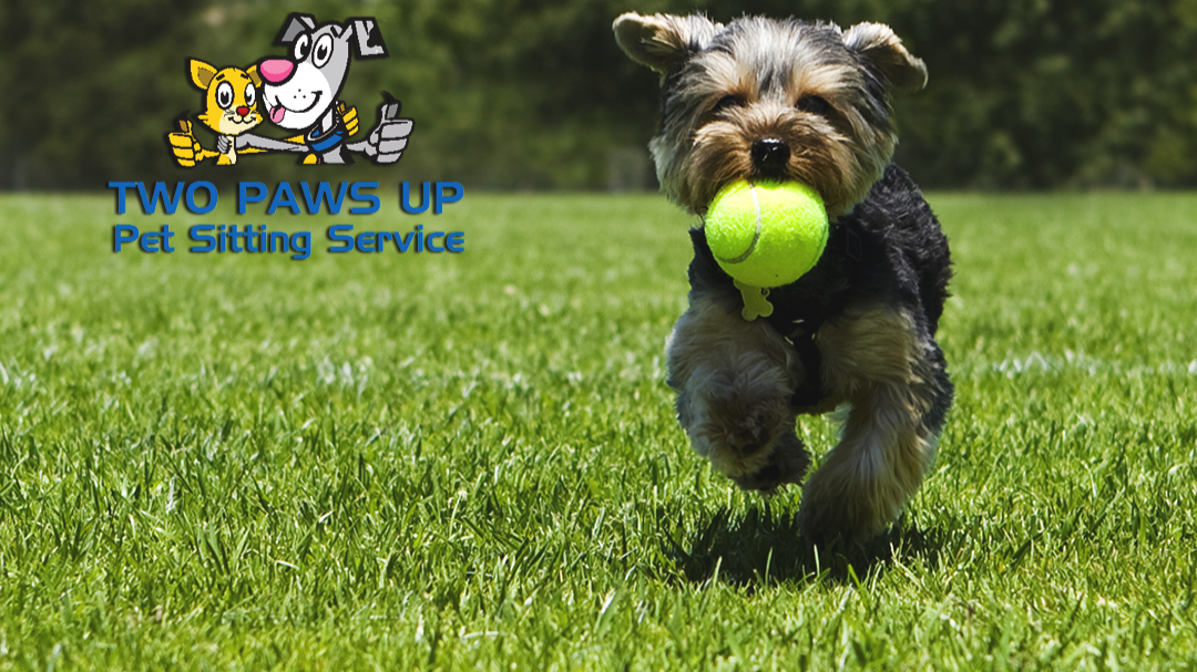 Two Paws Up Pet Sitting Services