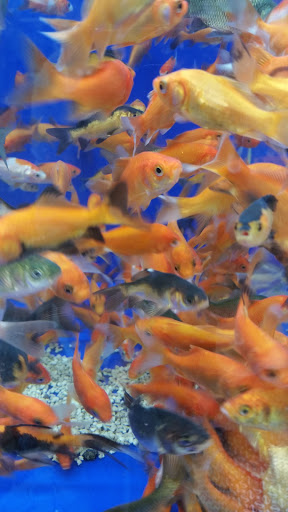 Pet Supply Store «PetSmart», reviews and photos, 4190 Vinewood Ln N, Plymouth, MN 55442, USA