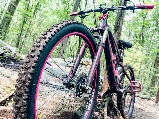 Ski Shop «R J Bradley Ski & Bike», reviews and photos, 312 Great Rd, Littleton, MA 01460, USA