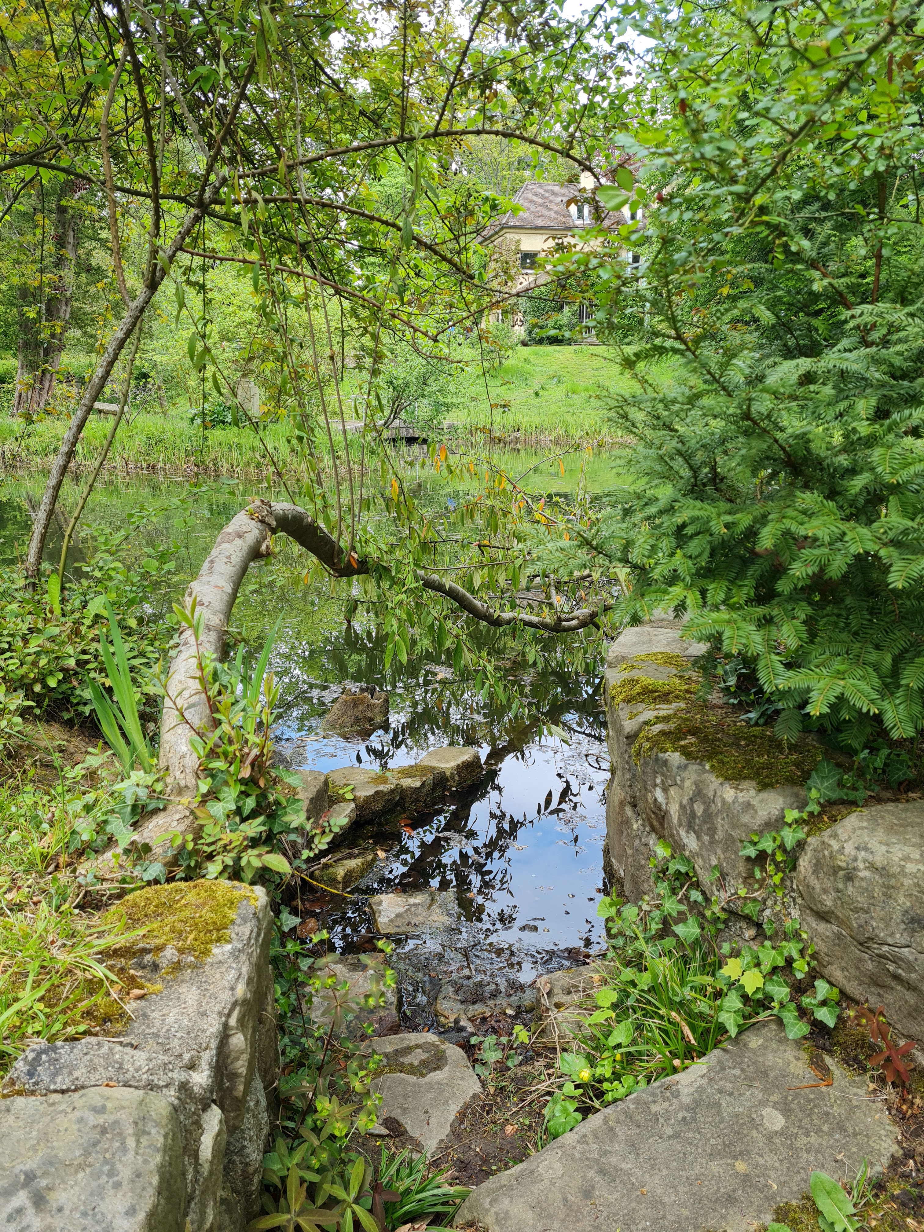 Photo n° 3 de l'avis de Murielle.a fait le 29/04/2021 à 18:58