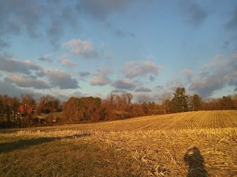 Stateline Woods Preserve