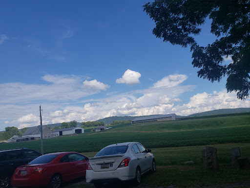 Tourist Attraction «Crystal Grottoes Caverns», reviews and photos, 19821 Shepherdstown Pike, Boonsboro, MD 21713, USA