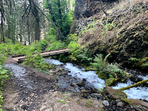 Tourist Attraction «Fairy Falls», reviews and photos, Wahkeena Trail #420, Corbett, OR 97019, USA