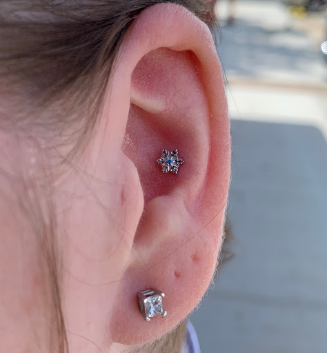 Explore cubs tattoo ideas, creative tattoo ideas in Omaha, available at Sushi Balloon Body Piercing