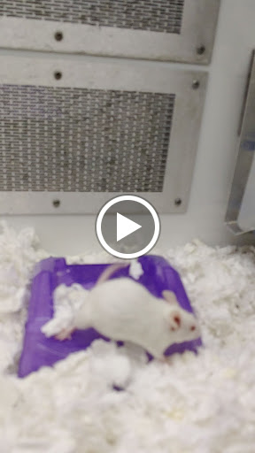 Pet Supply Store «Petco Animal Supplies», reviews and photos, 22000 Dulles Retail Plaza #110, Sterling, VA 20166, USA