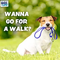 Calling All Dogs & Cats of Central Pinellas - Car repair in , St. Petersburg - Rated 5.0/5