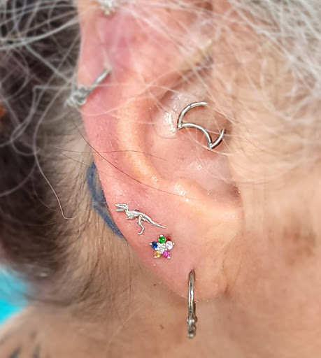 Explore cerberus tattoo ideas, creative tattoo ideas in Sarasota, available at Z-Edge Tattoo and Body Piercing North Shop