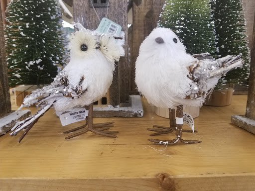 Furniture Store «Cost Plus World Market», reviews and photos, 550 Town Center Blvd, Garland, TX 75040, USA