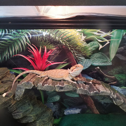 Pet Supply Store «PetSmart», reviews and photos, 625 Baltimore Blvd, Westminster, MD 21157, USA