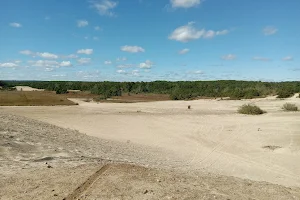 West Greenwich Sand Dunes image