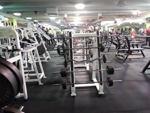 Health Club «Athletic Factor Gym & Fitness Center», reviews and photos, 2301 W Sample Rd # 5-3B, Pompano Beach, FL 33073, USA