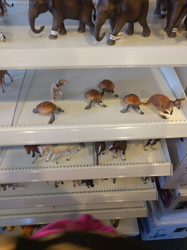 Gift Shop «Growing Tree Toys», reviews and photos, 202 S Allen St, State College, PA 16801, USA