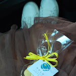 Photo n°1 de l'avis de Samantha.i fait le 08/09/2019 à 06:49 sur le  Hotel Polo Riccione à Riccione