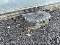 Kingsman Pest Exterminators - Photo 4 - Car repair in The Woodlands, TX, The Woodlands