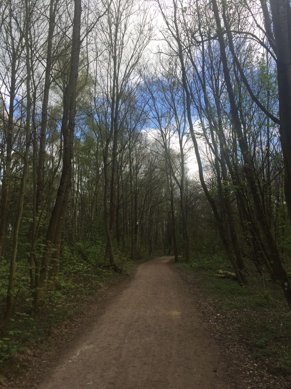 Photo n° 2 de l'avis de joseph.a fait le 07/04/2017 à 13:02