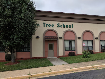 Palm Tree School