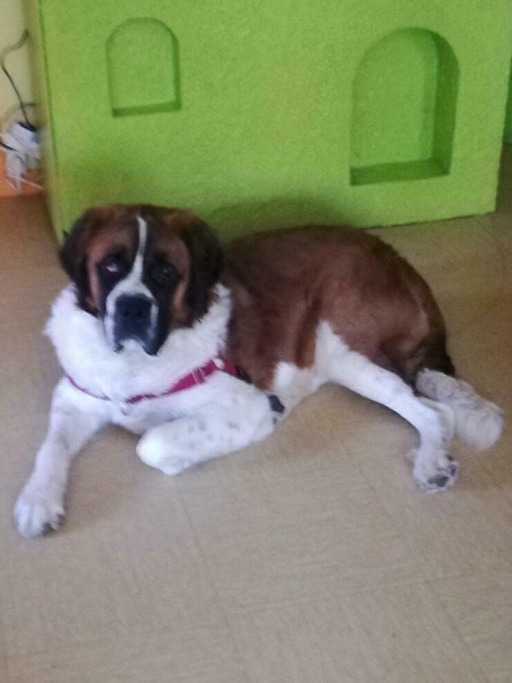 Photo n° 3 de l'avis de Muriel.a fait le 26/08/2018 à 08:31