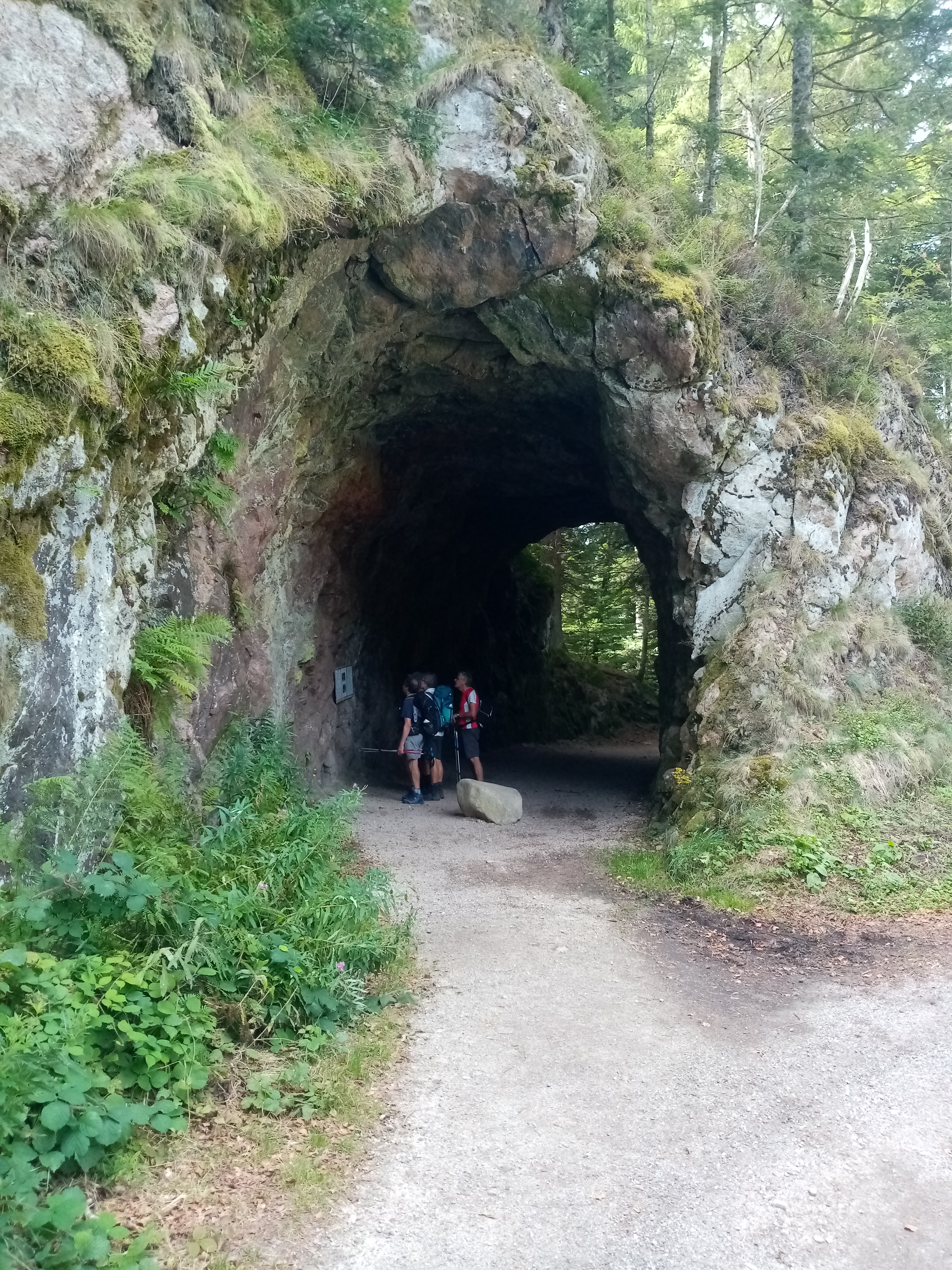 Photo n° 1 de l'avis de Jerome.a fait le 27/08/2020 à 15:00