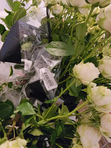 Florist «Botanica Wholesale Florist», reviews and photos, 3208 International Pl, Irving, TX 75062, USA