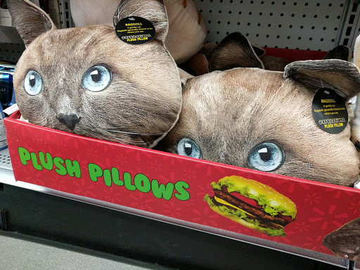 Craft Store «Michaels», reviews and photos, 689 Middletown Warwick Rd, Middletown, DE 19709, USA