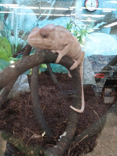 Pet Supply Store «Petco Animal Supplies», reviews and photos, 2565 NE 10th Ct, Homestead, FL 33035, USA