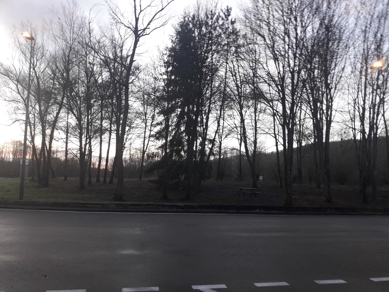 Photo n° 2 de l'avis de El.e fait le 03/03/2020 à 06:20