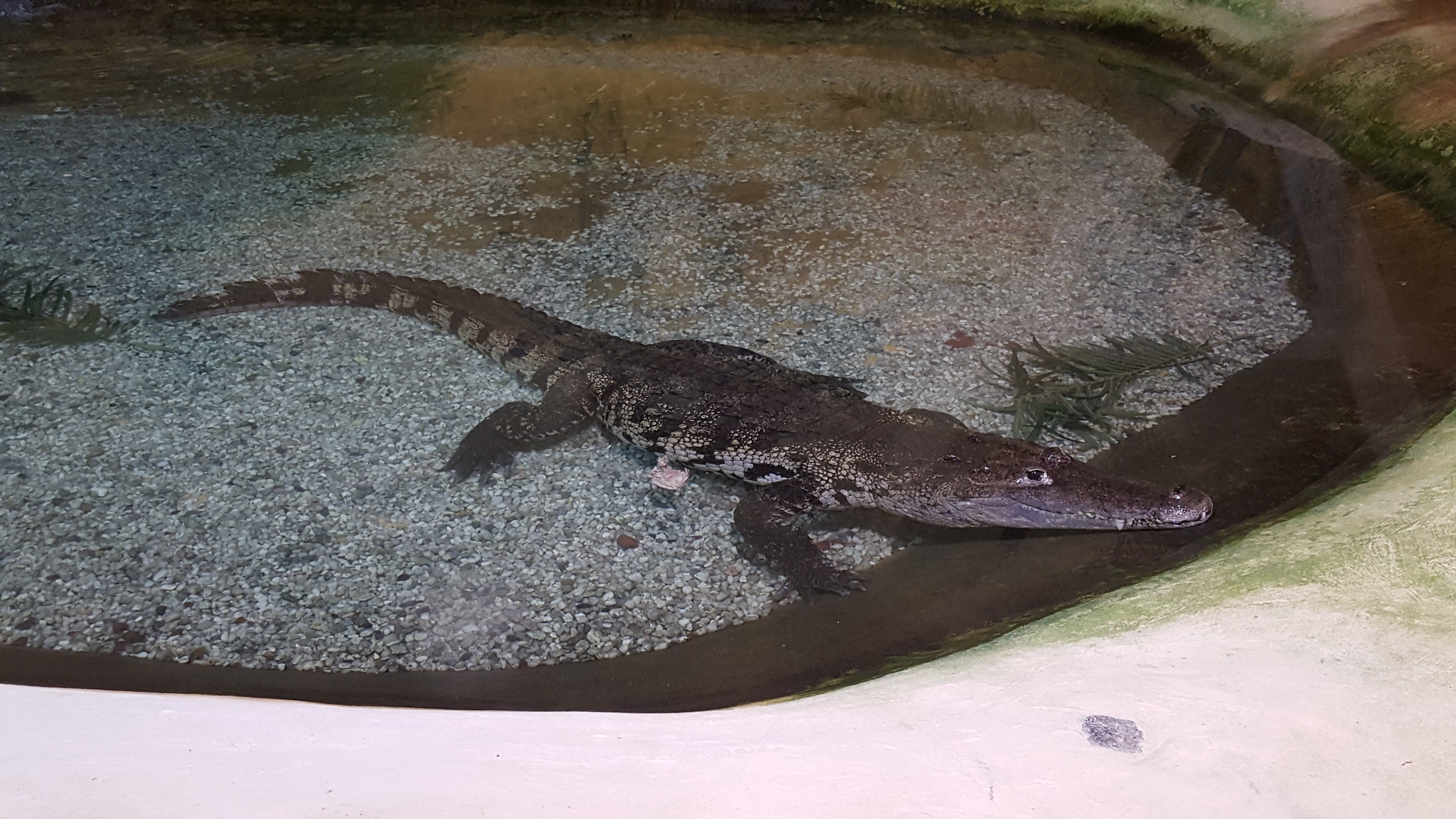 Photo n° 5 de l'avis de Thierry. fait le 23/07/2019 à 16:52