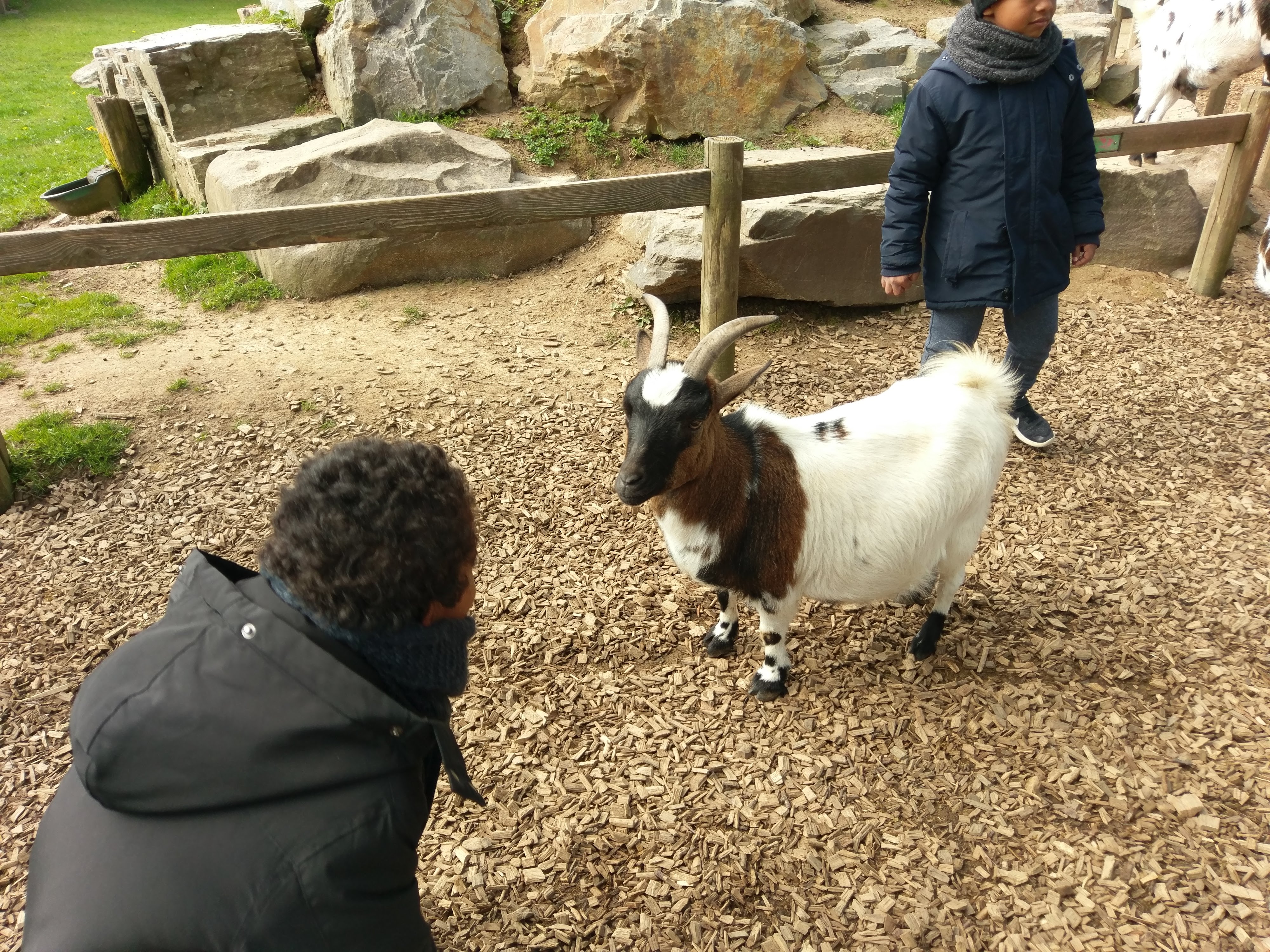 Photo n° 2 de l'avis de Dominique.A fait le 23/04/2019 à 22:31
