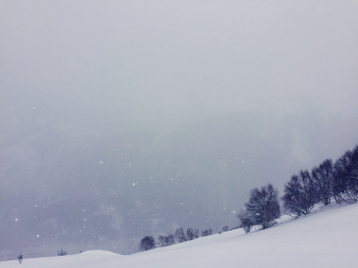 Photo n° 1 de l'avis de François.o fait le 14/01/2018 à 16:28