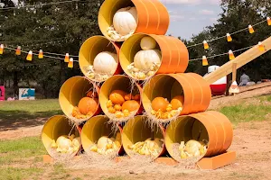 Jacksboro Pumpkin Patch image
