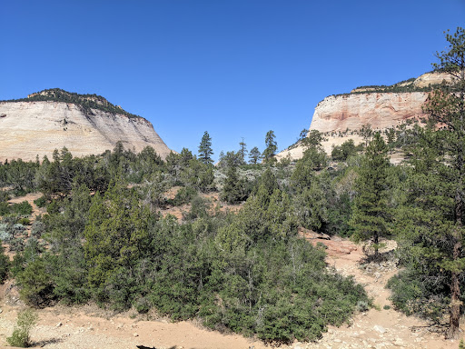 National Park «Zion National Park», reviews and photos