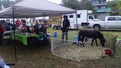 Community Park «Wells Mills County Park», reviews and photos, 905 Wells Mills Rd, Waretown, NJ 08758, USA