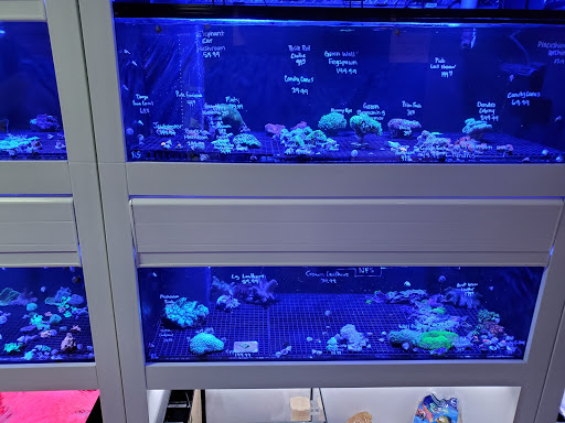 Tropical Fish Store «Barrier Reef Aquariums», reviews and photos, 1717 NE 44th St # A, Renton, WA 98056, USA