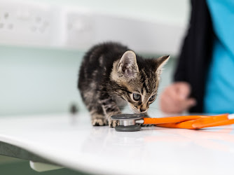 Green Lane Veterinary Centre