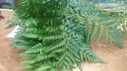 Florist «Kent Buds & Blooms», reviews and photos, 417 Ramsay Way, Kent, WA 98032, USA