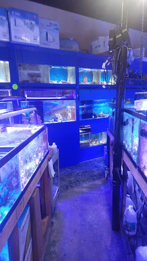 Pet Store «Aquarium & Reef Center», reviews and photos, 231 Del Prado Blvd, Cape Coral, FL 33990, USA