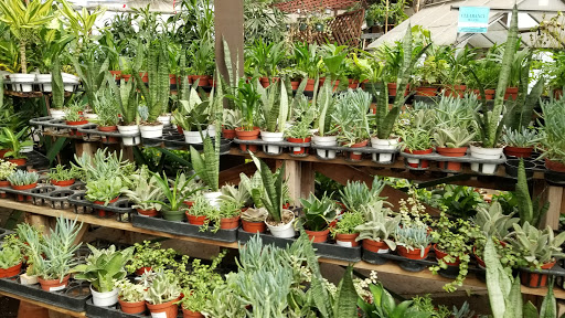 Plant Nursery «San Gabriel Nursery & Florist», reviews and photos, 632 S San Gabriel Blvd, San Gabriel, CA 91776, USA