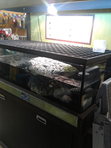 Pet Supply Store «Petco Animal Supplies», reviews and photos, 13 Welles St, Glastonbury, CT 06033, USA