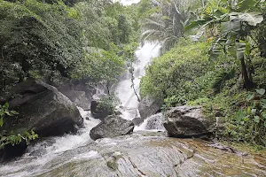Vattappara Waterfalls image