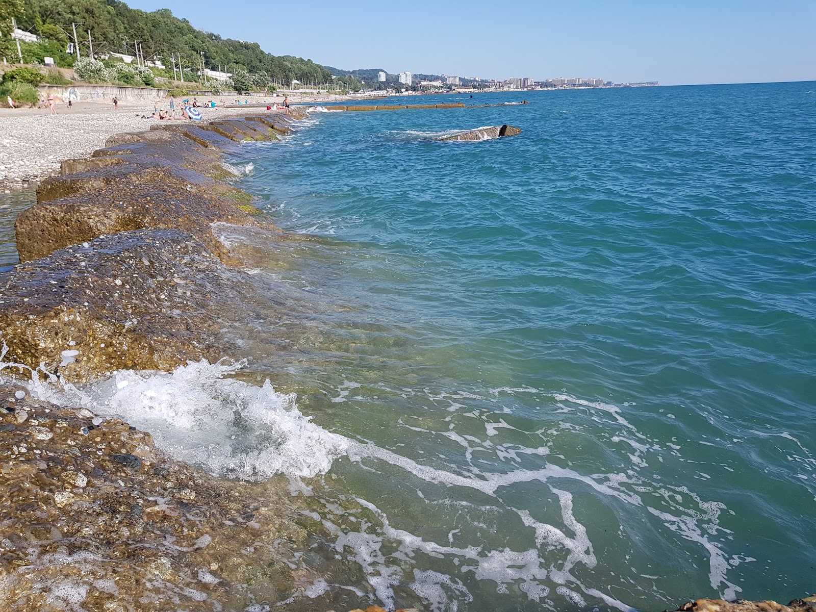 Foto af Hosta beach med høj niveau af renlighed