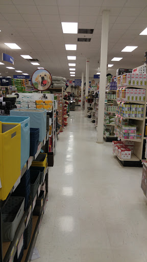 Lewis Stores - Madison