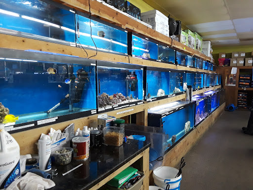 Pet Store «Oak Park Natural Pet & Fish», reviews and photos, 23 N Harlem Ave, Oak Park, IL 60302, USA