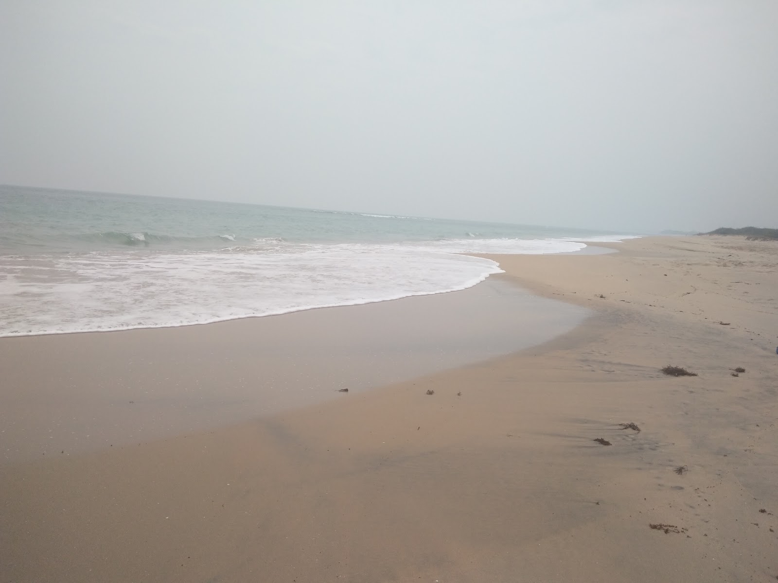 Foto von Chettikulam Pannai Beach mit sehr sauber Sauberkeitsgrad