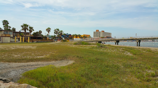 Museum «USS Lexington», reviews and photos, 2914 N Shoreline Blvd, Corpus Christi, TX 78402, USA