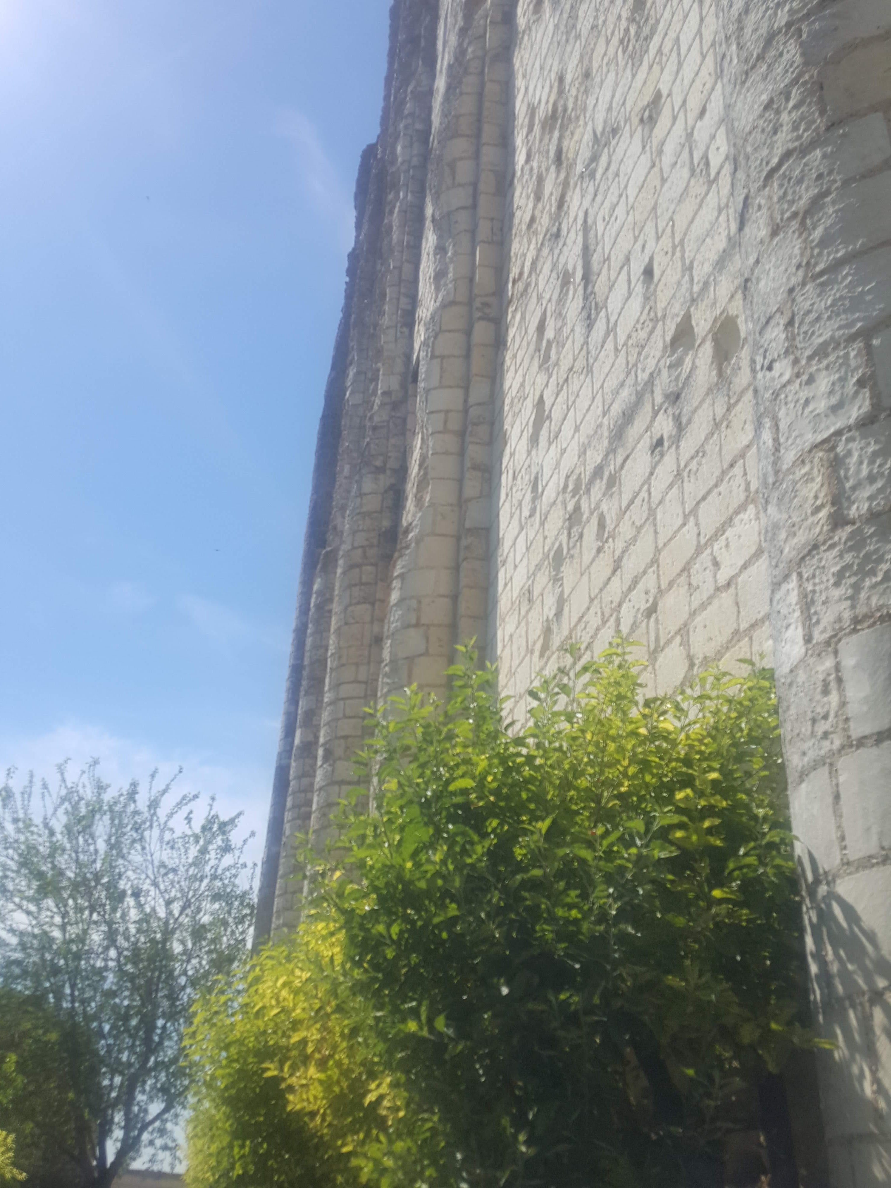 Photo n° 5 de l'avis de Dory.b fait le 12/06/2019 à 14:53